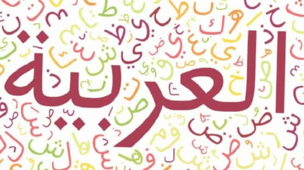 توزيع منهج اللغة العربية 6 الثالث الثانوي