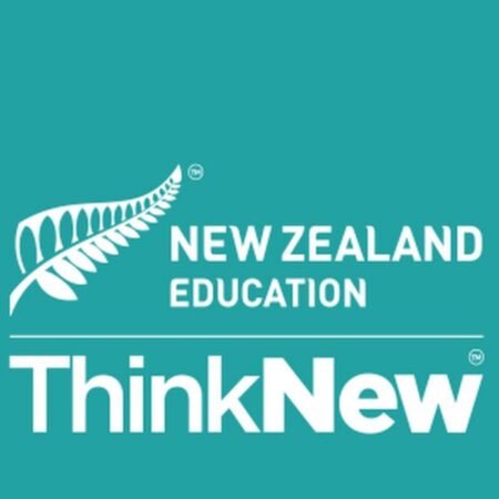 مبادرة التعليم بالمشاريع و محاكاة التعليم النيوزيلندي