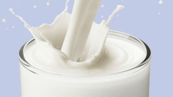 حل التربية الاسرية درس الحليب من وحدة غذائي الاول الابتدائي الفصل الثاني 1441 هـ - 2020 م