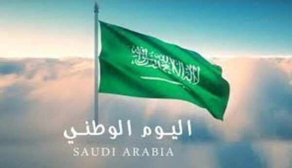 تحميل دليل هوية اليوم الوطني السعودي91