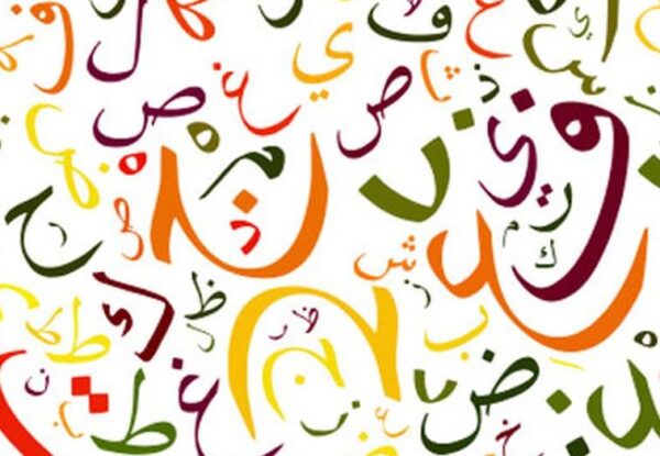 تحميل السلسة الناجحة للتقوية في مادة اللغة العربية