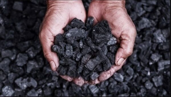 كيف يتكون الفحم الحجري؟