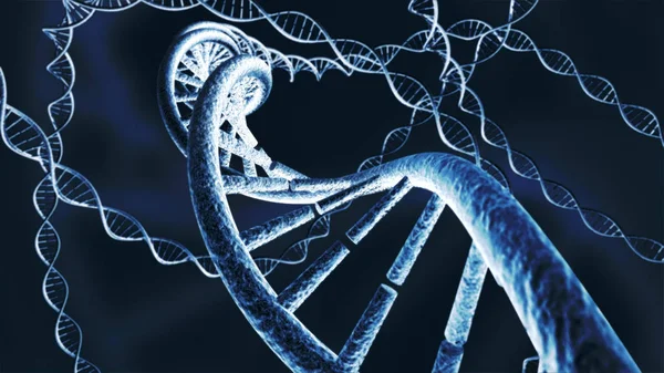 حل درس DNA RNA والبروتين الأحياء 2 الثاني الثانوي الفصل الثالث 1445